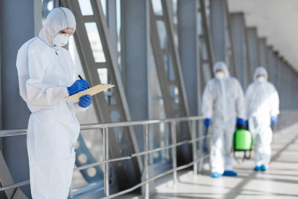 Professional Mold Removal in East Bethel, MN