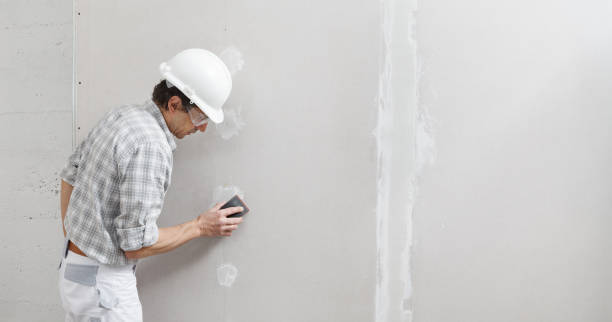 Best Commercial Mold Inspection  in East Bethel, MN