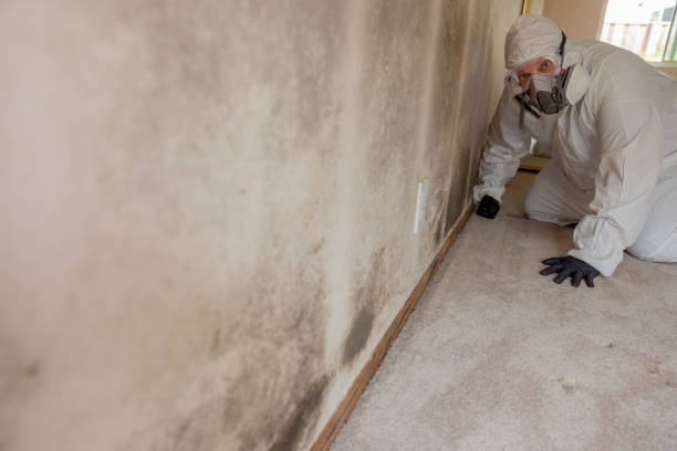 Best Residential Mold Inspection & Testing  in East Bethel, MN